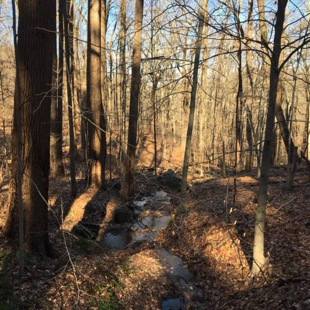 Meet your Posher, Dee